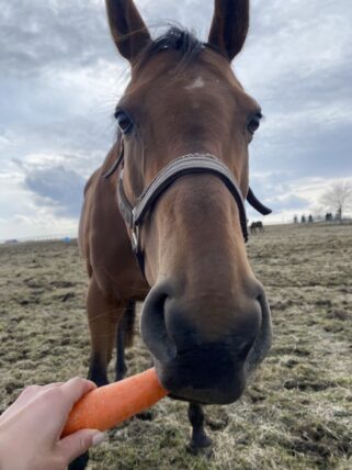 スパイラルステップ