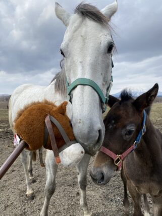 オンリーサンライズ