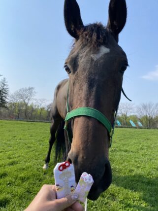 パンドジェーヌ