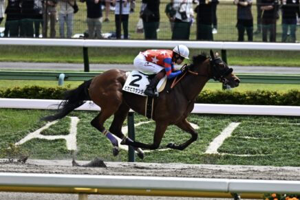 休み明けも昇級戦も何のその ピカピカサンダーが圧巻の4馬身差V