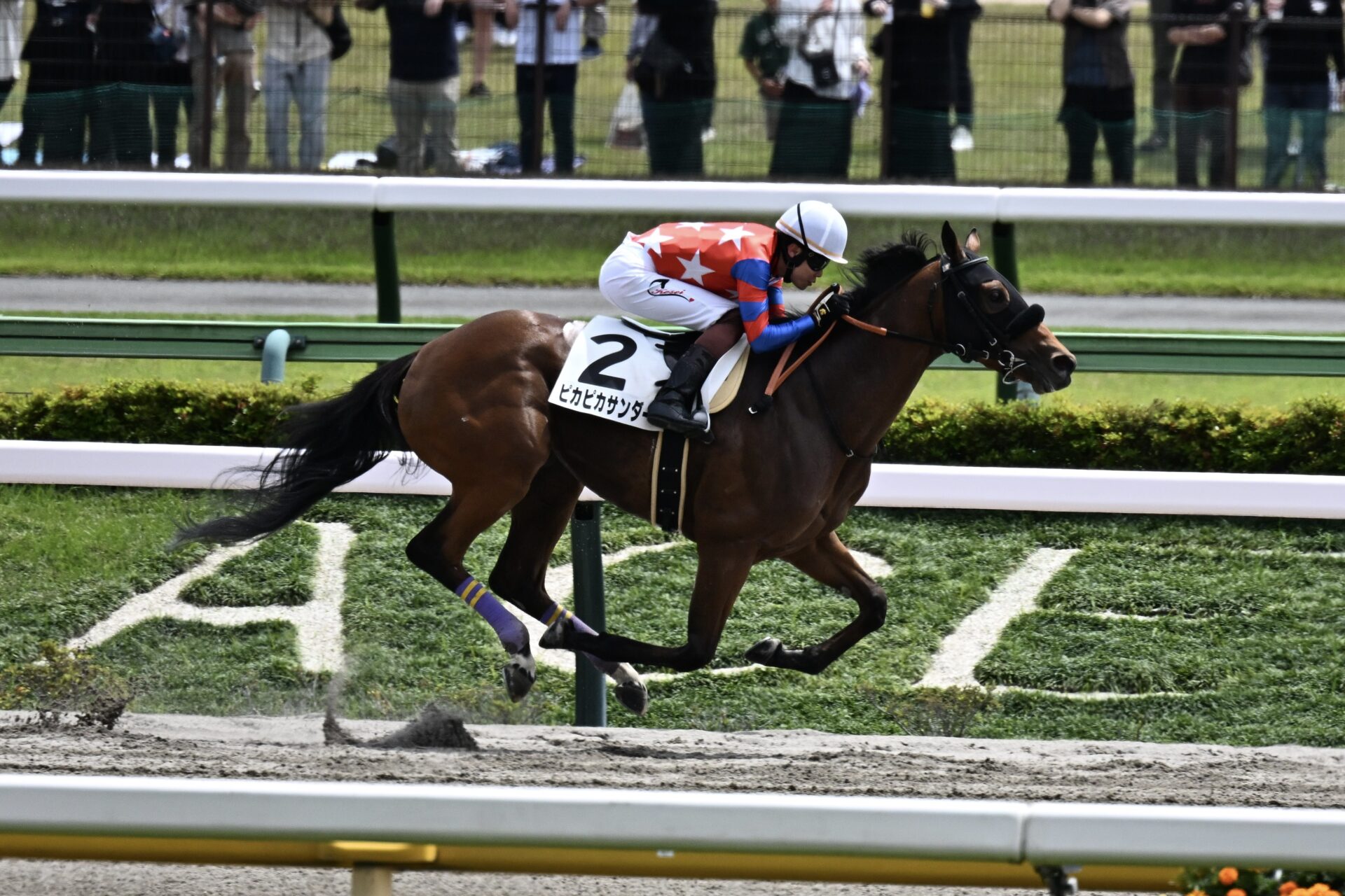 5月11日の東京5R・3歳1勝クラス（ダート2100m）において、生産馬のピカピカサンダー号（牡3歳、父アジアエクスプレス、母メジロカトリーヌ）が勝利