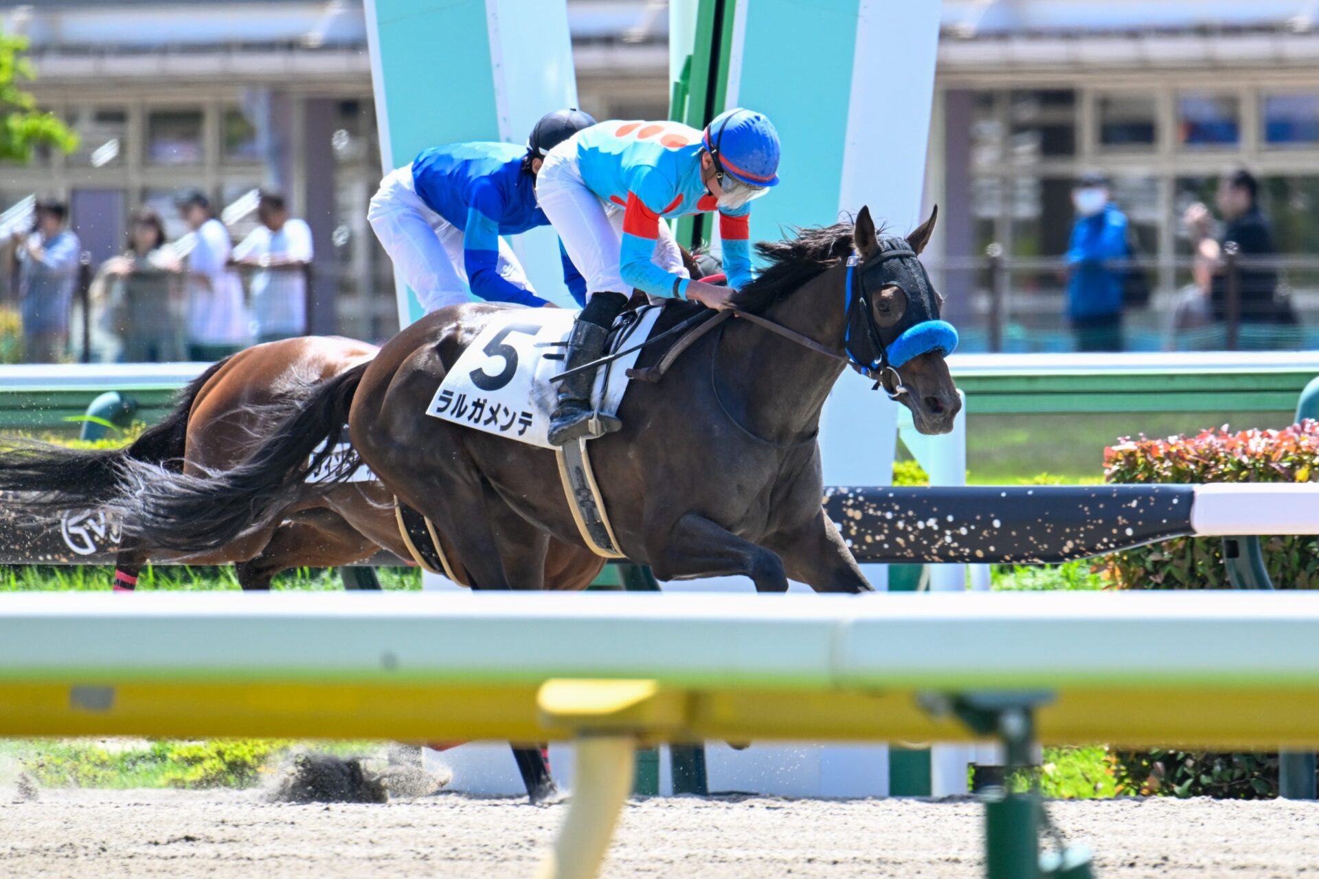 5月11日の東京1R・3歳未勝利（牝）（ダート1600m）において、生産馬のラルガメンテ号（牝3歳、父ドゥラメンテ、母メジロツボネ）が勝利