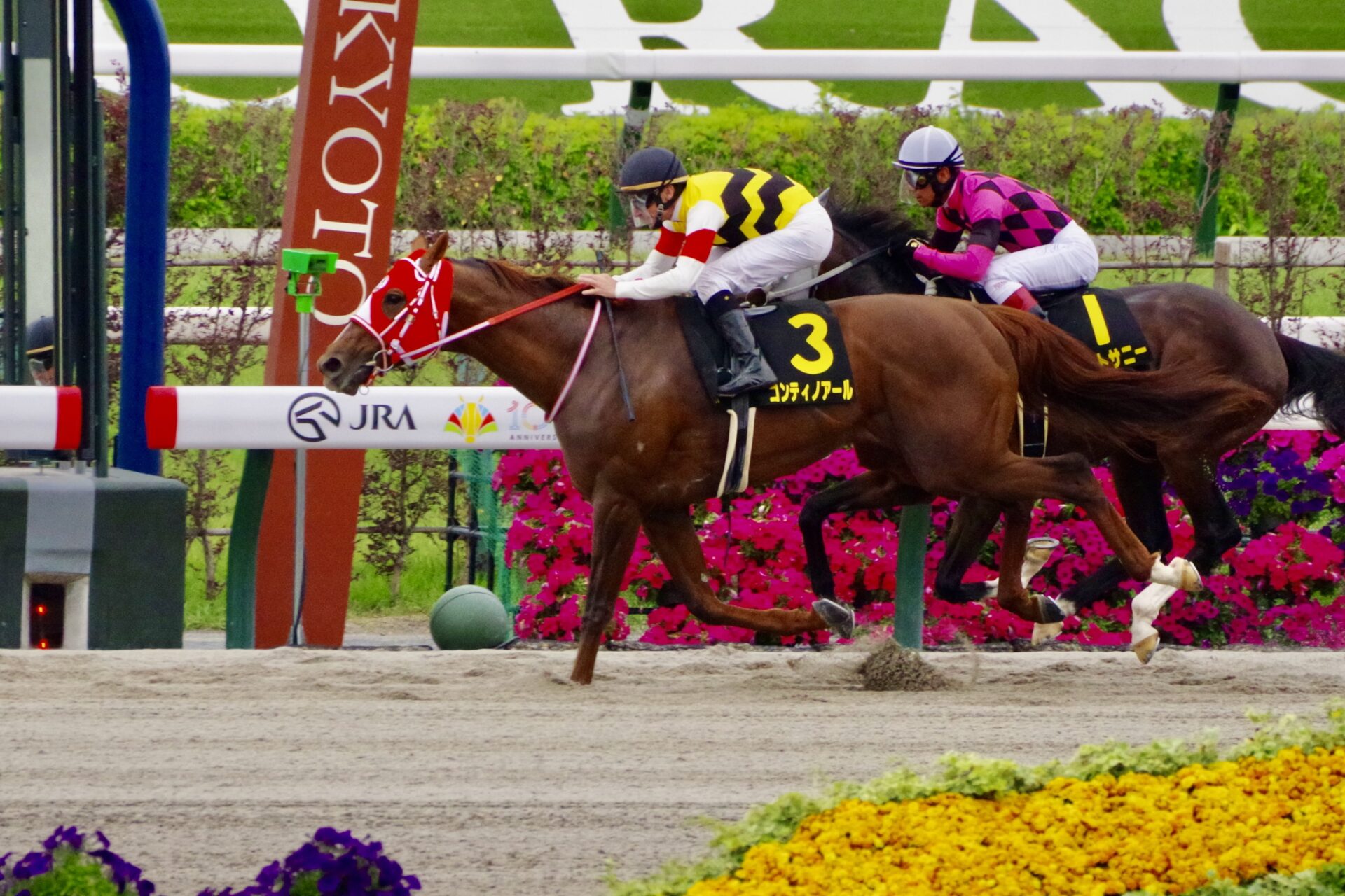 5月18日の京都11R・栗東S（ダート1400m）において、生産馬のコンティノアール号（牡5歳、父ドレフォン、母パンデリング）が勝利
