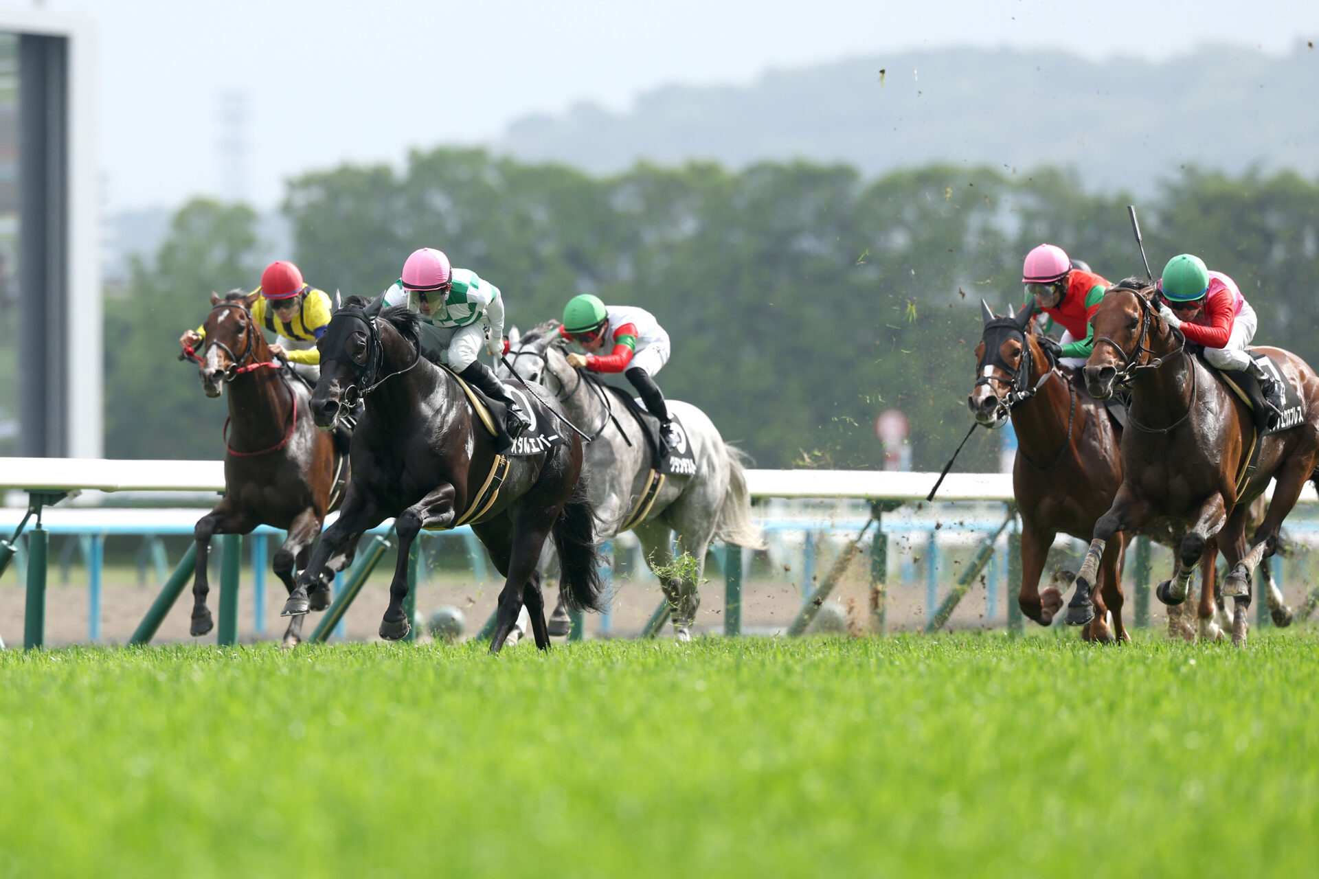 5月17日の京都11R・鞍馬S（芝1200m）において、生産馬のオタルエバー号（牡6歳、父リオンディーズ、母ルージュクール）が勝利