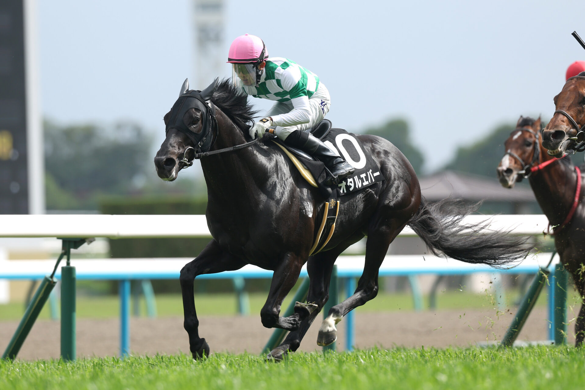 5月17日の京都11R・鞍馬S（芝1200m）において、生産馬のオタルエバー号（牡6歳、父リオンディーズ、母ルージュクール）が勝利