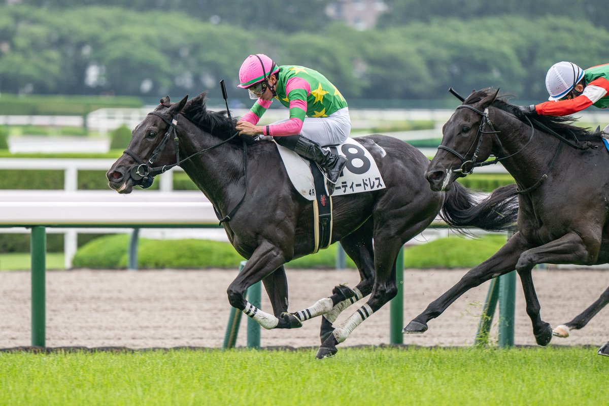 6月14日の阪神4R・3歳未勝利・牝（芝1600m）において、生産馬のジーティードレス号（牝3歳、父サートゥルナーリア、母リトルダーリン）が勝利