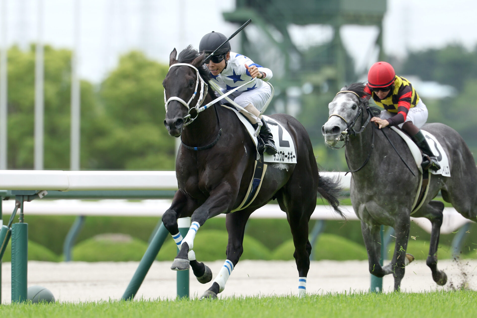 6月7日の阪神5R・2歳新馬（芝1600m）において、生産馬のチュウワカーネギー号（牡2歳、父モーリス、母デックドアウト）が勝利