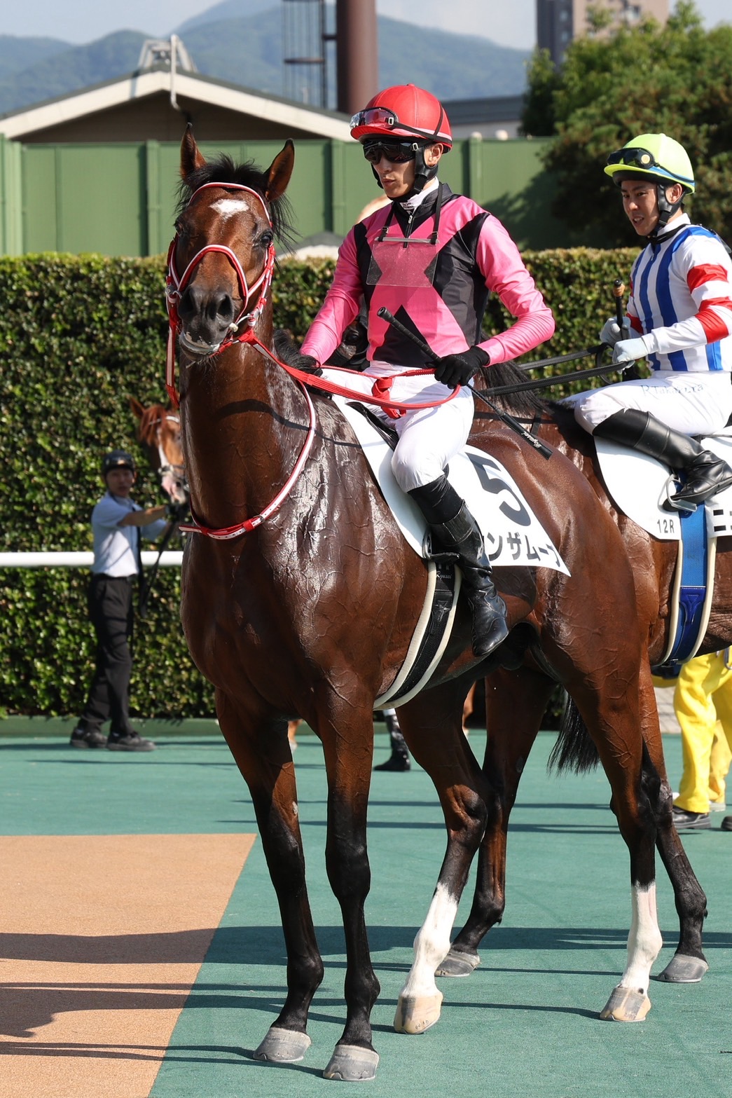 6月29日の小倉12R・3歳以上1勝クラス（ダート1700m）において、生産馬のオンザムーブ号（牡3歳、父モーリス、母ハヴユーゴーンアウェイ）が勝利