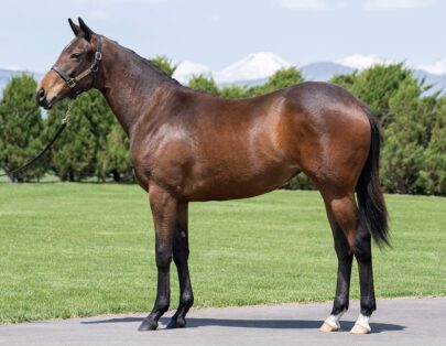 インザスポットライトの2024