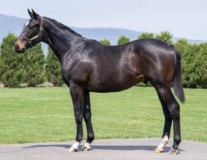 生産馬 | LAKE VILLA FARM