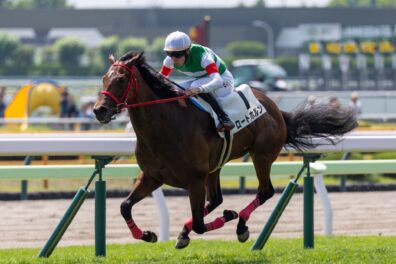 自己条件なら負けられない ロートホルンが圧倒的1番人気に応えて快勝