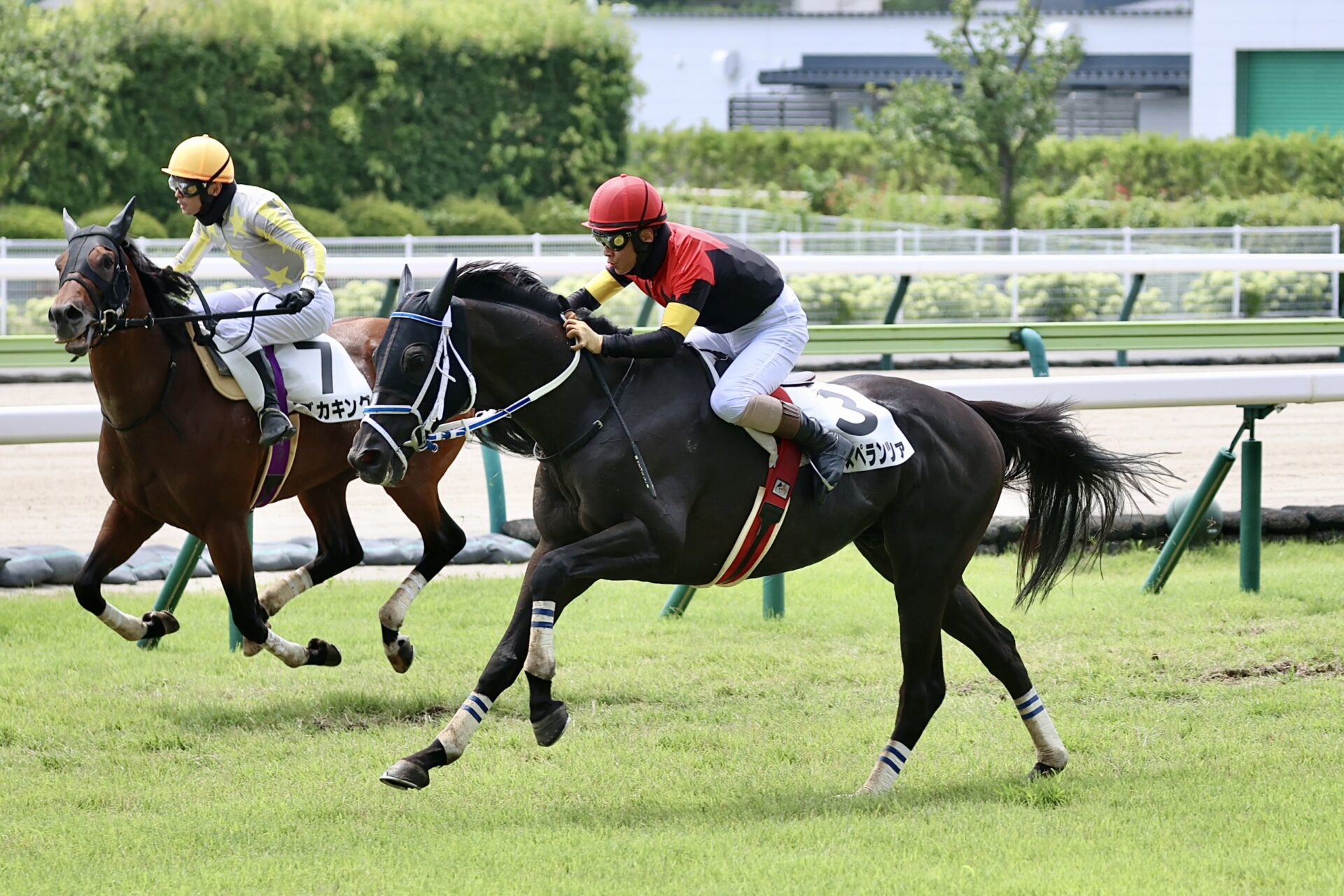 7月19日の福島1R・障害オープン（3380m・直線芝）において、生産馬のシホノスペランツァ号（牡6歳、父ブラックタイド、母メジロスプレンダー）が勝利