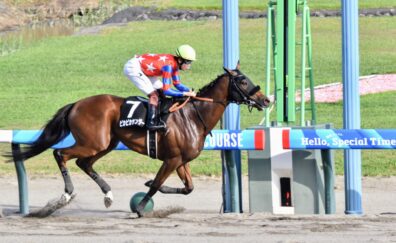 圧倒的1番人気に応えて逃げ切り ピカピカサンダーが悠々3連勝