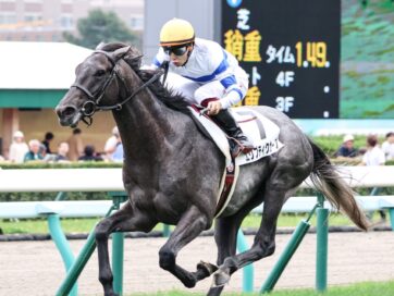 きょうだい8頭目の勝ち上がり  エリプティクカーブがデビュー戦を快勝