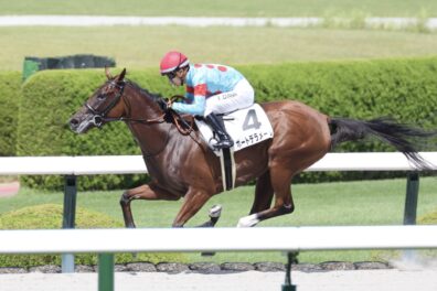 長期休養明けも大幅馬体増も関係なし ポートデラメールが初ダートで圧勝