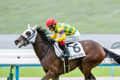 2歳コースレコードのおまけつきマーゴットラヴミーが圧巻デビュー勝ち