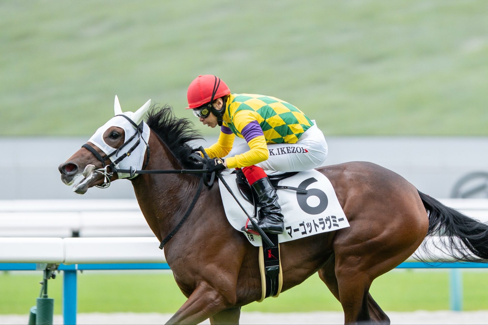 10月11日の京都5R・2歳新馬（牝）（芝1400m）において、生産馬のマーゴットラヴミー号（牝2歳、父リアルスティール、母キャントバイミーラヴ）が勝利