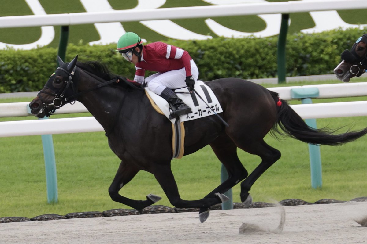 10月13日の京都7R・3歳以上1勝クラス（牝）（ダート1400m）において、生産馬のスニーカースキル号（牝3歳、父キズナ、母ストリートバンド）が勝利