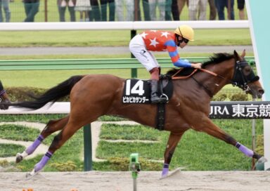 横綱相撲で破竹の4連勝ピカピカサンダーが堂々のオープン入り