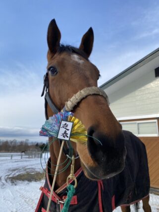 ニーシーマリー