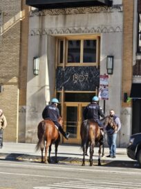 【米国セール遠征2025】 スタッフが語る繁殖牝馬を追いかけて①