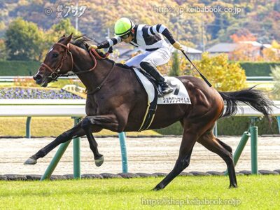 オーナーもトレーナーも〝レイクファミリー〟 ショウグンマサムネが新馬戦で勝ち名乗り