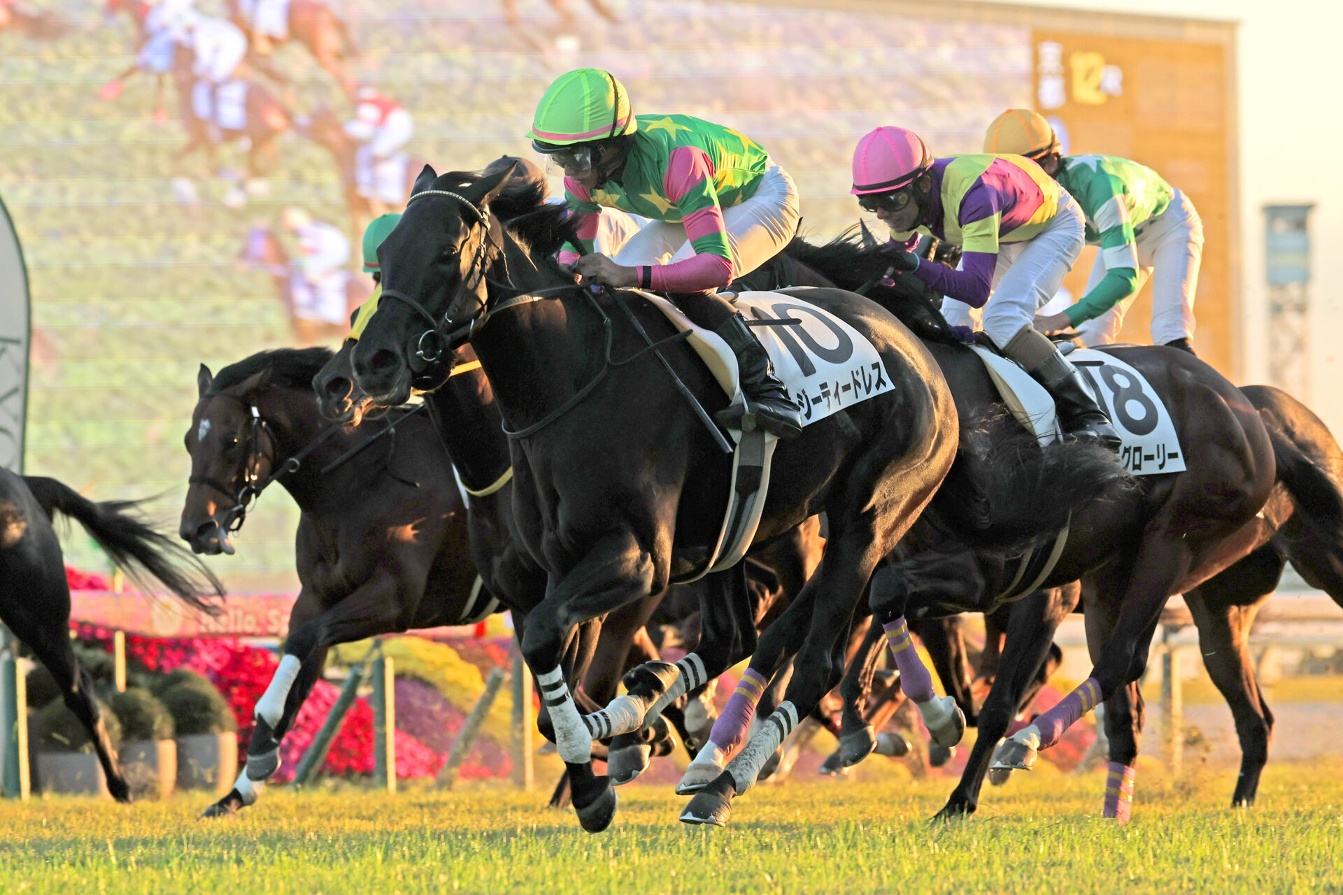 11月15日の京都12R・3歳以上1勝クラス（芝1600m）において、生産馬のジーティードレス号（牝3歳、父サートゥルナーリア、母リトルダーリン）が勝利