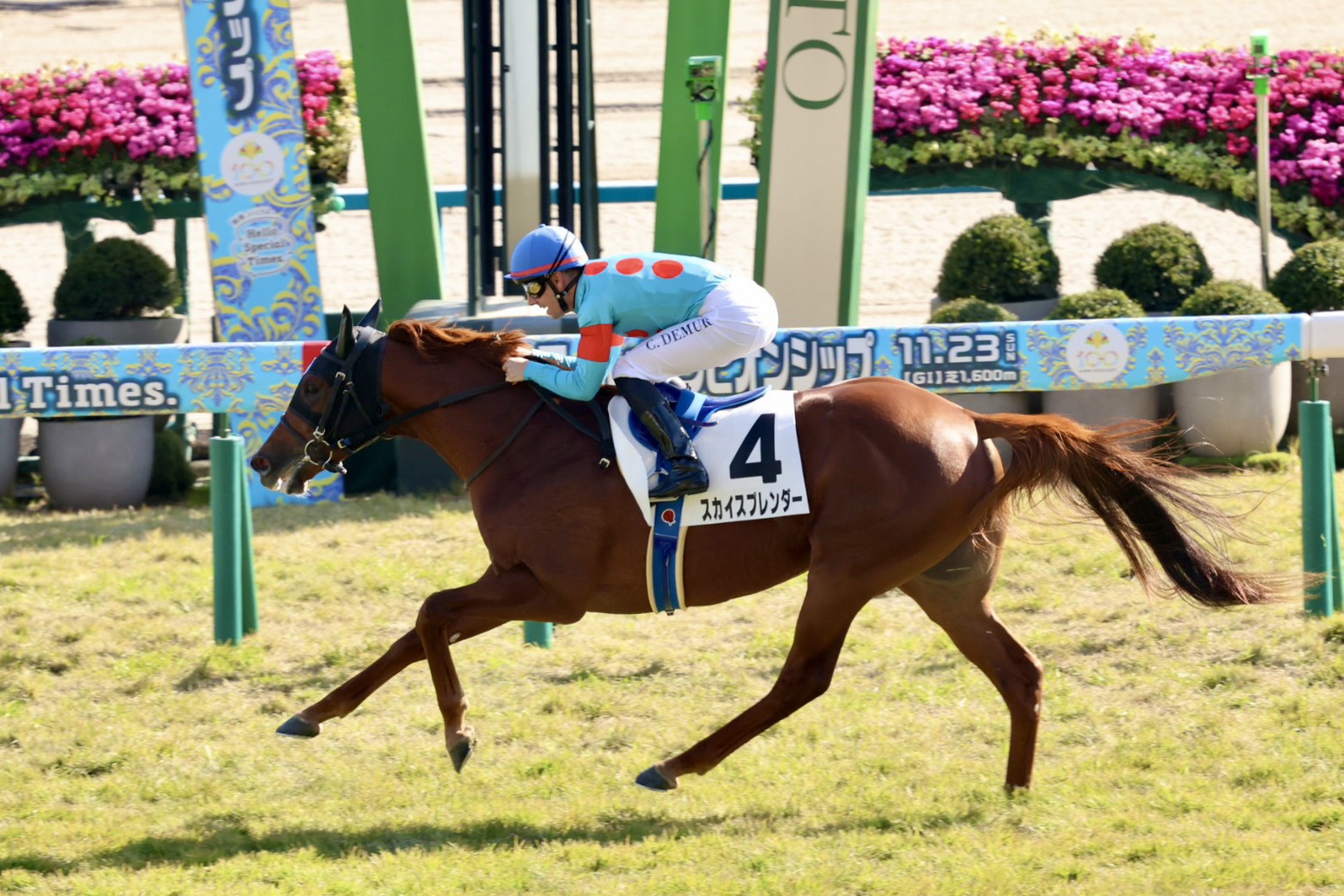 11月23日の京都5R・2歳新馬（芝1800m）において、生産馬のスカイスプレンダー号（牡2歳、父サートゥルナーリア、母メジロスプレンダー）が勝利