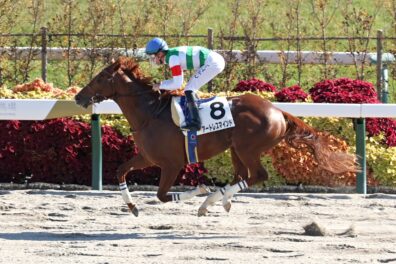 名手に導かれ4角先頭から独走 アートレスマインドが2勝目をゲット