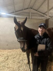 【米国セール遠征2025】 スタッフが語る繁殖牝馬を追いかけて③