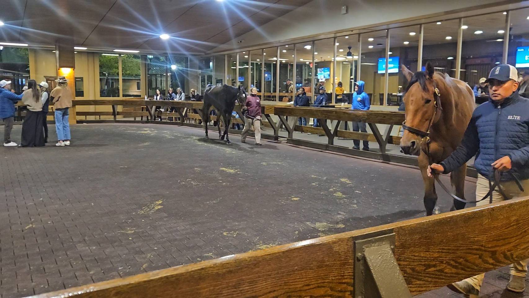 セリ場 ファシグティプトン1