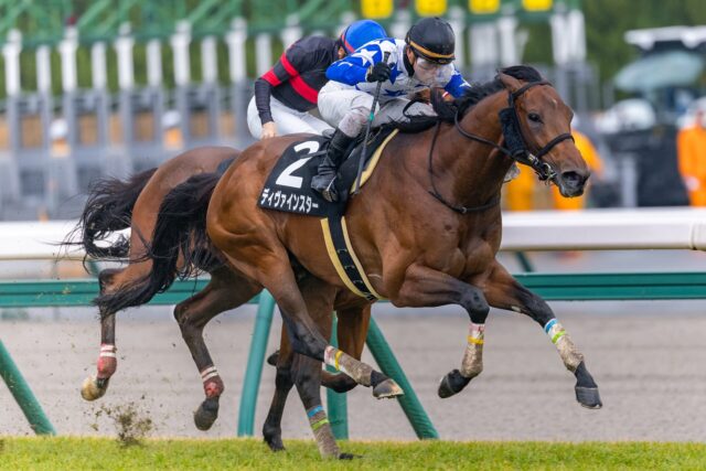 展開と馬場を味方に付けて ディヴァインスターが力強く押し切り