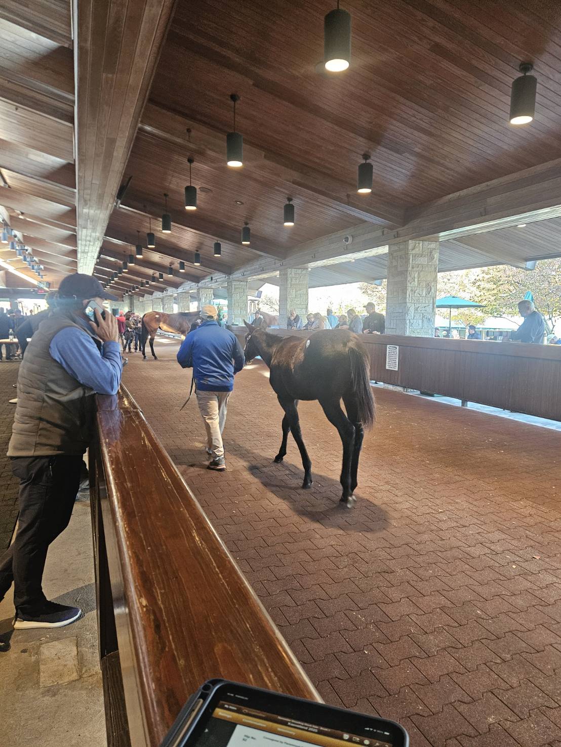 手前に当歳、奥に繁殖