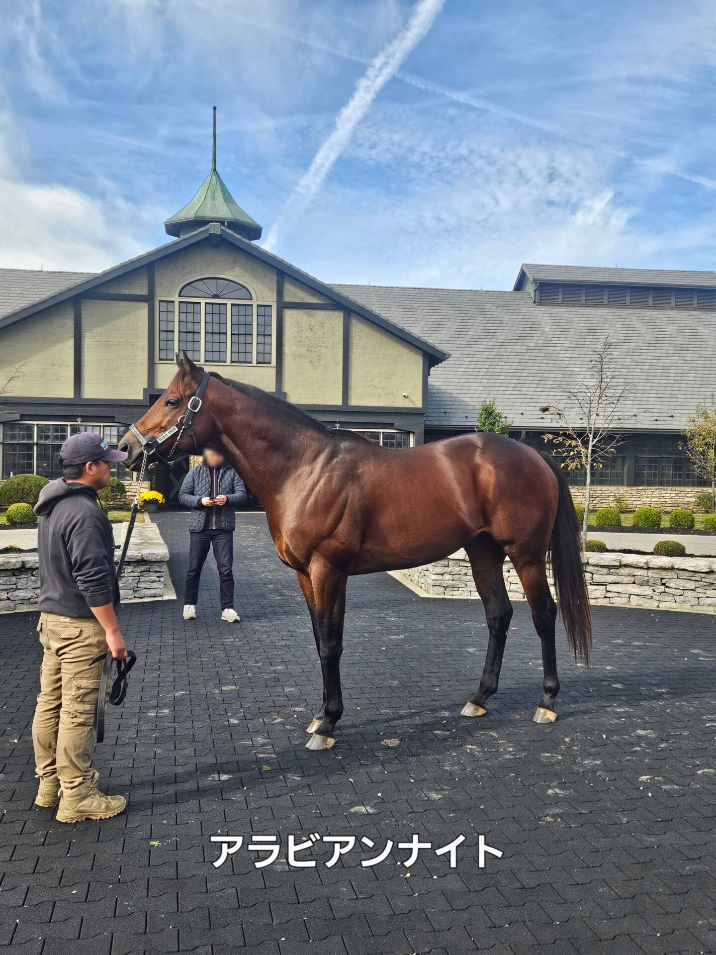 種牡馬アラビアンナイト