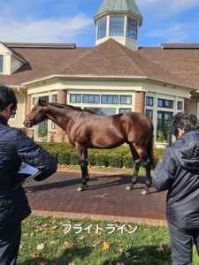 【米国セール遠征2025】 スタッフが語る繁殖牝馬を追いかけて⑦
