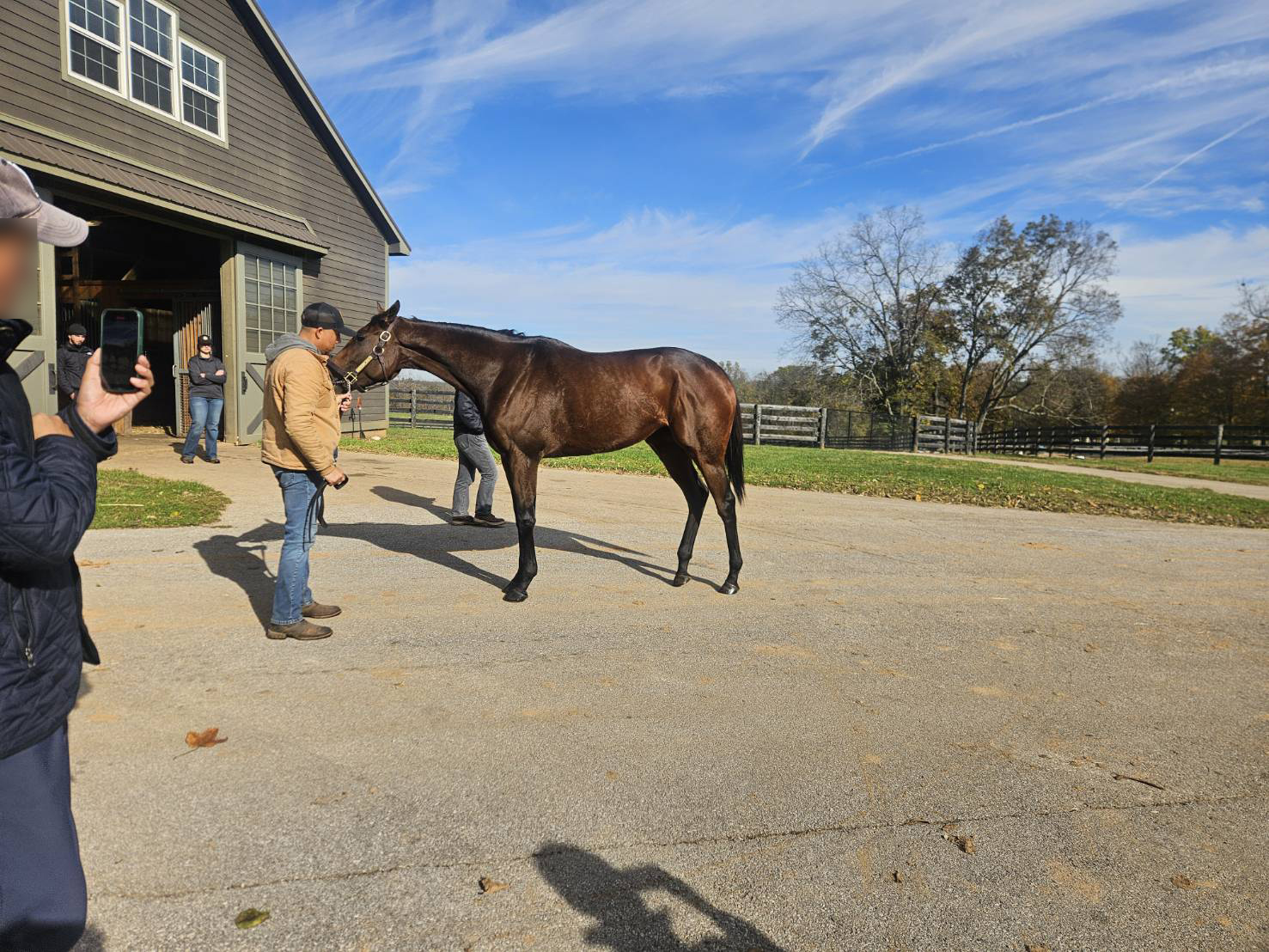 繁殖ソーピードアンナ