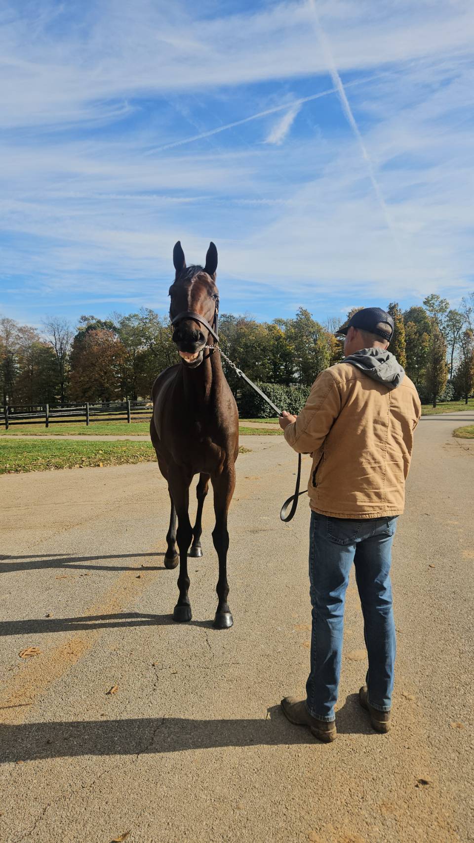繁殖ソーピードアンナ