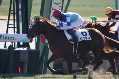 名牝系の〝代表作〟を目指せ ガウディが世代最初の2400m戦で勝ち上がり