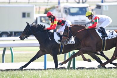 巧みな逃げでレースを掌握 ダンデノンが2戦目で初勝利