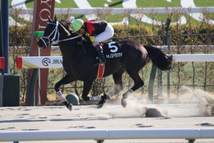 今年は大舞台も視野に シホノスペランツァが障害特別初勝利