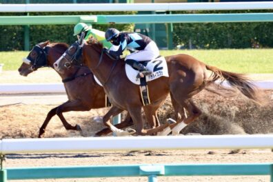 並ばれて勝負根性を発揮 サトノリシャールが待望の初勝利