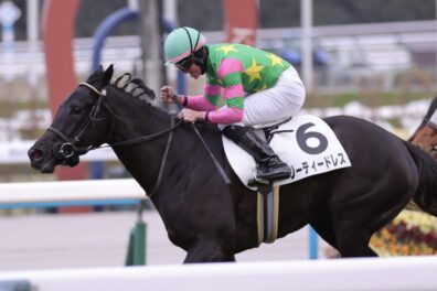 1番人気に応えて悠々差し切り ジーティードレスが3勝目をゲット