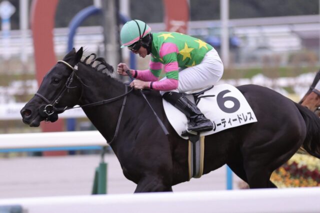 1番人気に応えて悠々差し切り ジーティードレスが3勝目をゲット