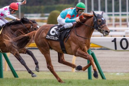 春の大舞台へテイクオフ スカイスプレンダーが早め進出から完勝