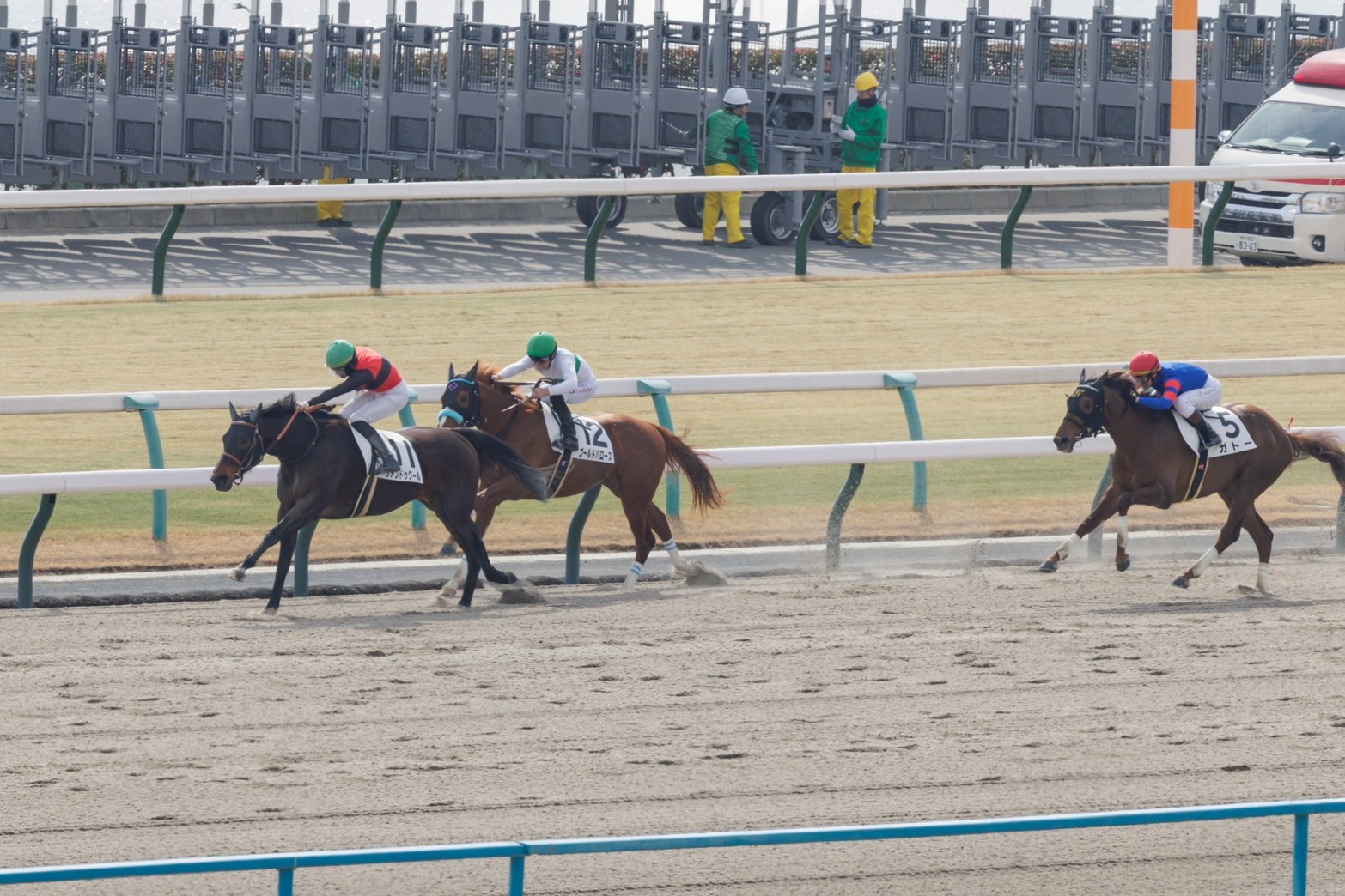 2月14日の京都5R・3歳新馬（ダート1800m）において、生産馬のリアンドゥクール号（牝3歳、父キズナ、母ストリートバンド）が勝利