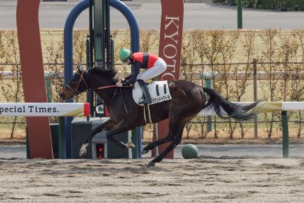 幾多の苦難を乗り越えて リアンドゥクールが圧巻のデビュー勝ち