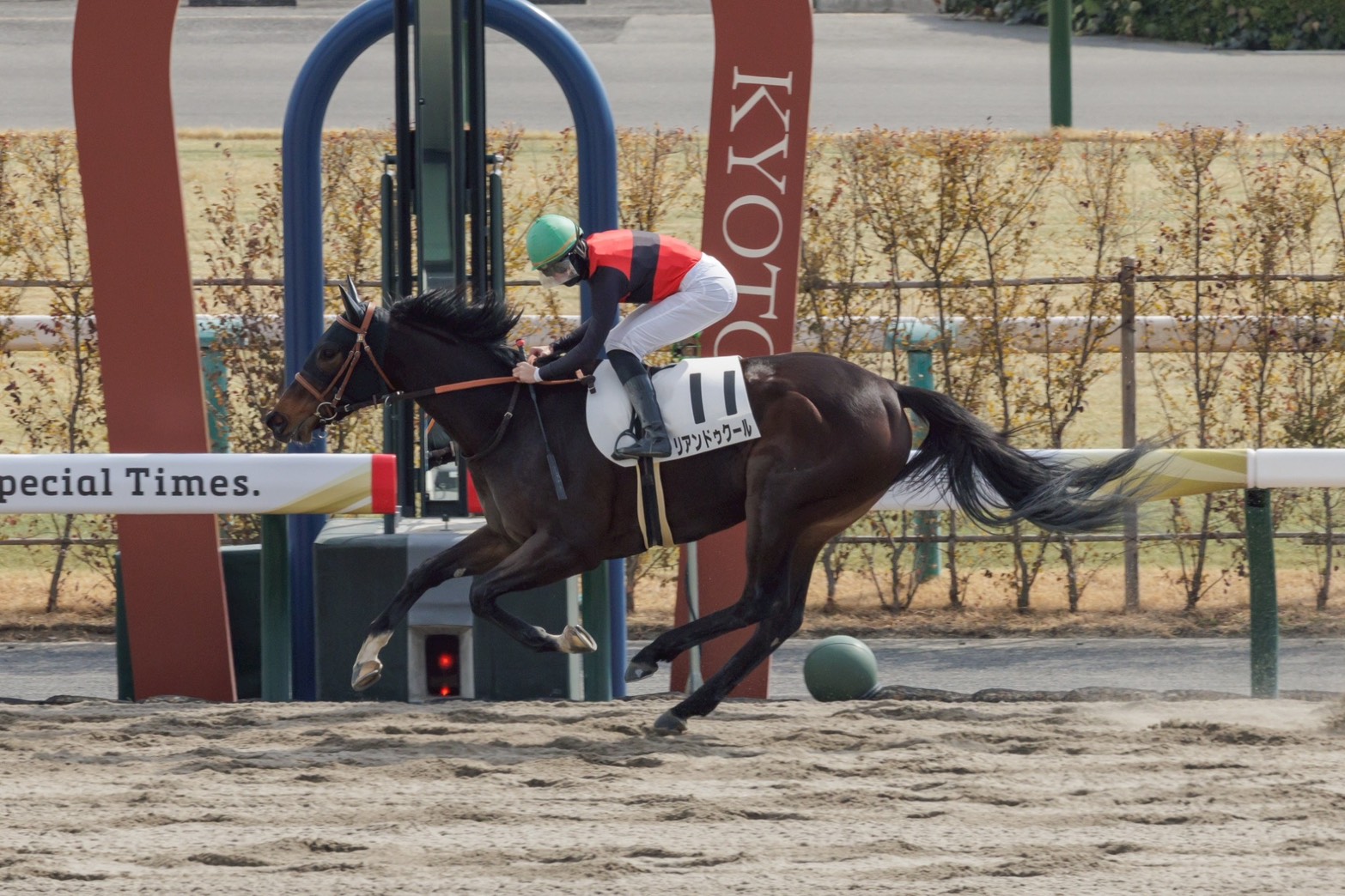 2月14日の京都5R・3歳新馬（ダート1800m）において、生産馬のリアンドゥクール号（牝3歳、父キズナ、母ストリートバンド）が勝利