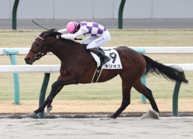 単勝1.1倍の圧倒的支持に応えて キリオスが2戦目で初勝利