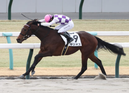 単勝1.1倍の圧倒的支持に応えて キリオスが2戦目で初勝利