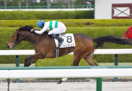 自ら祝ったバースデー ペンダントが伏兵評価を覆して2連勝